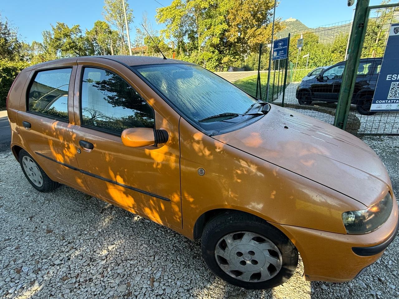 Fiat Punto 1.2i 16V cat 5 porte perfetta