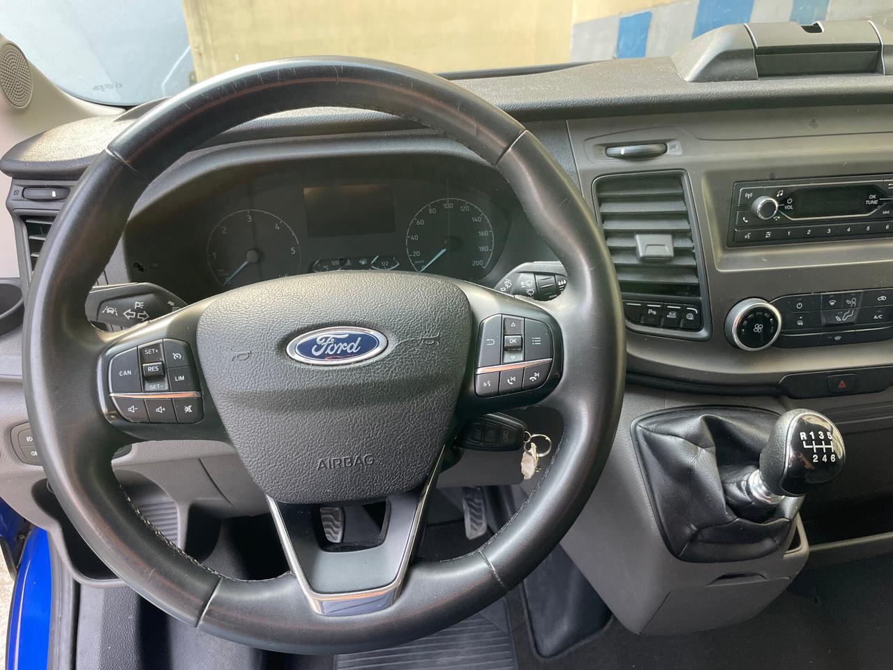 Ford Transit 290 2.0TDCi EcoBlue PM-TM Furgone Trend