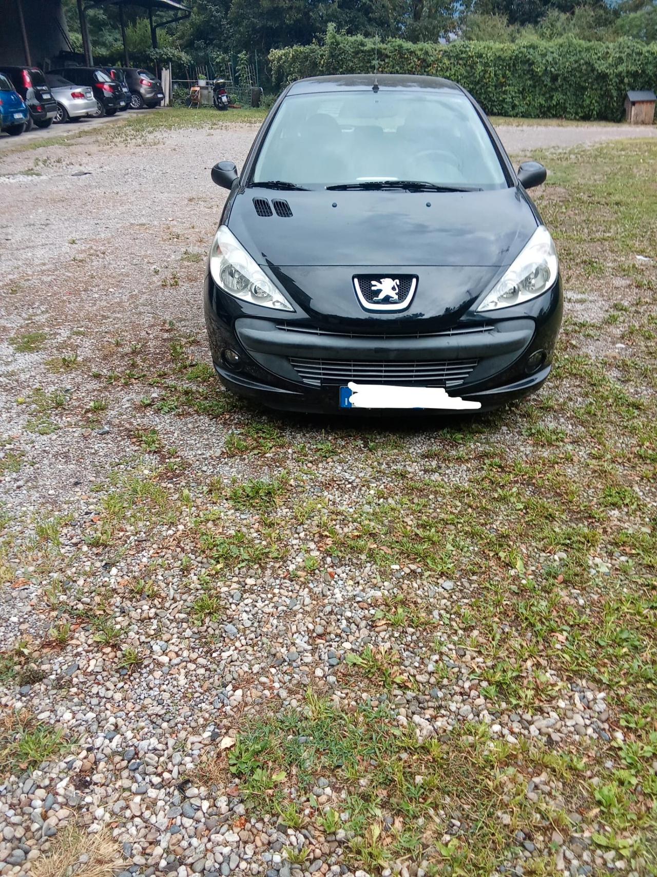 Peugeot 206 1100