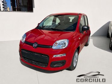 Fiat Panda 1.0 FireFly S&S Hybrid Pandina Icon RED