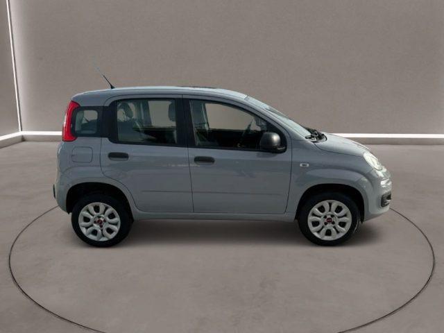 FIAT Panda 3ª serie - 0.9 TwinAir Turbo Natural Power Easy