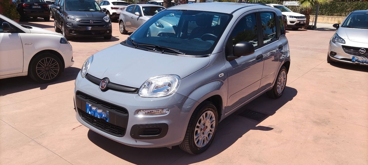 Fiat Panda 1.2 Easy Cv 69 5 Posti