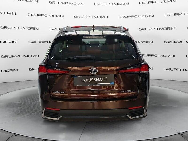 Lexus NX Hybrid 4WD Executive