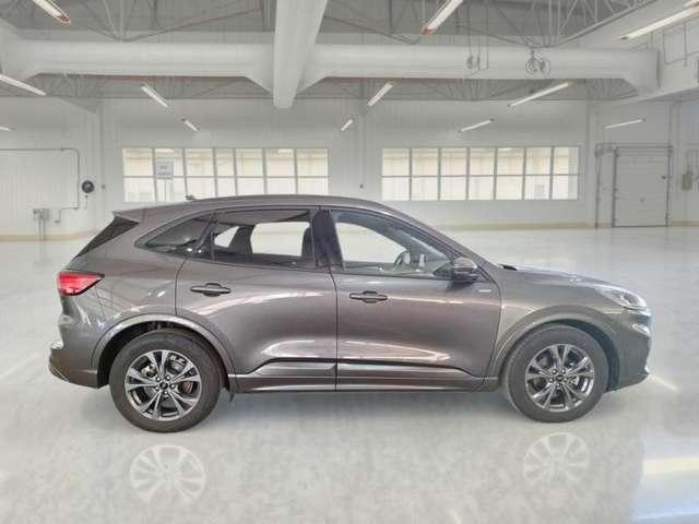 Ford Kuga Kuga 2.0 ecoblue ST-Line 2wd 120cv auto