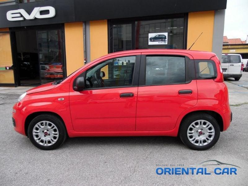 FIAT Panda Panda 1.2 IN OTTIME CONDIZIONI