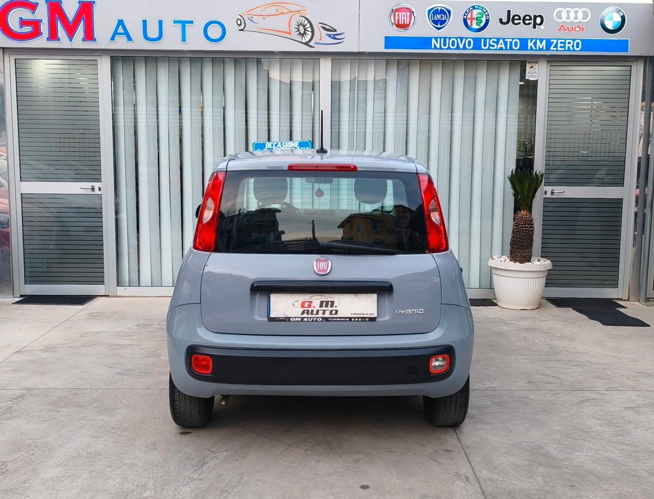 Fiat Panda 1.0 benzina Hybrid 7/2021
