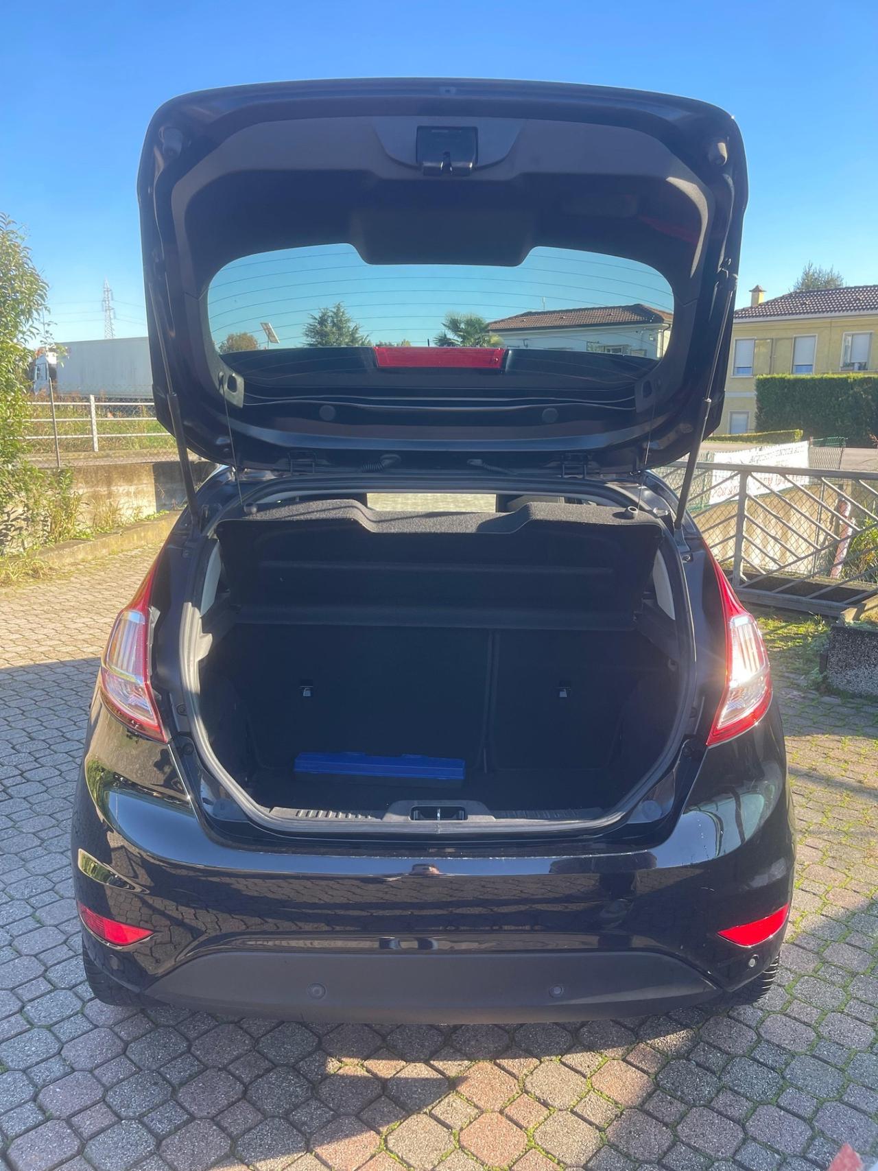 Ford Fiesta 1.4 5 porte Bz.- GPL Black & White Edition