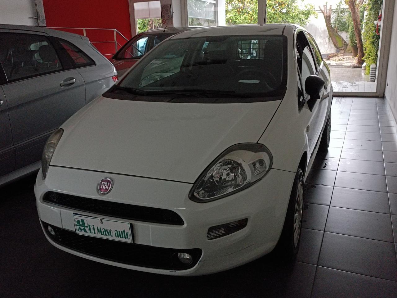 Fiat Punto Evo due posti autocarro