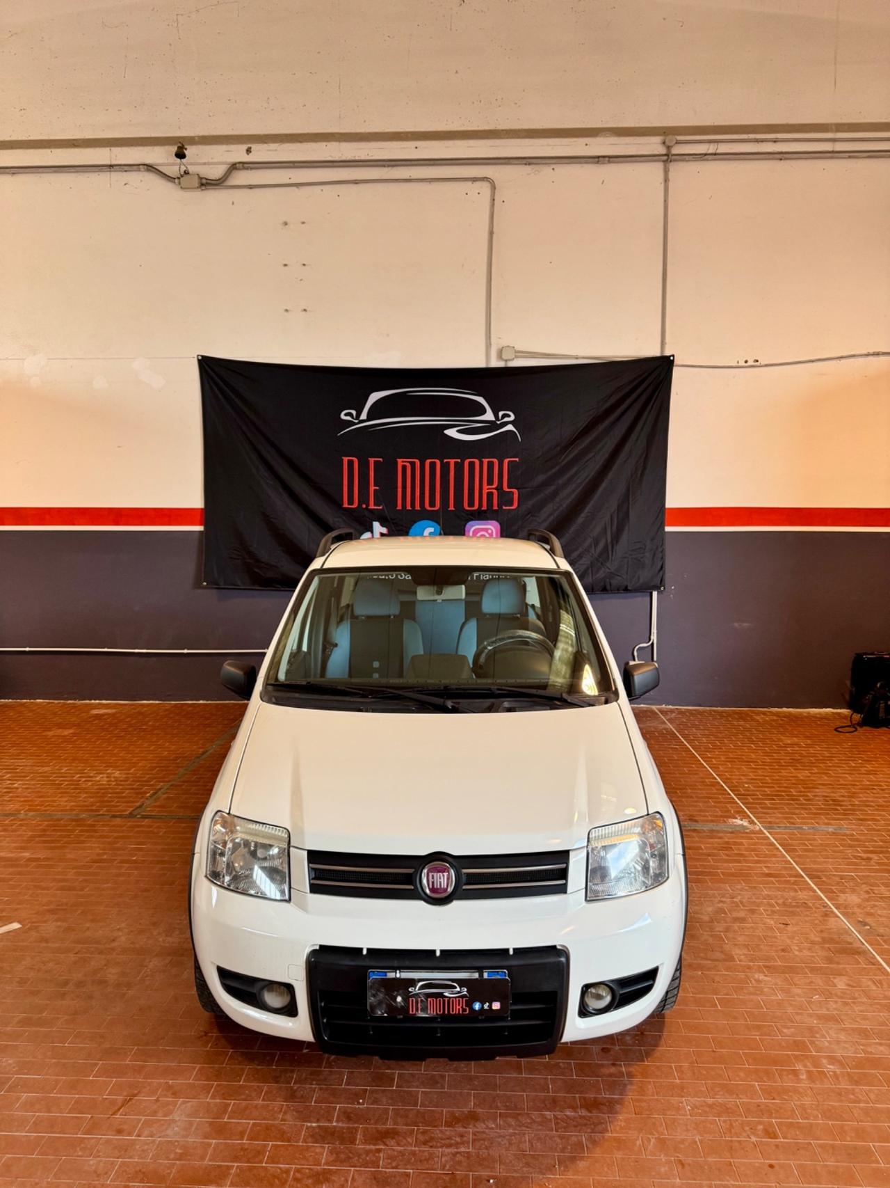 Fiat Panda 1.2 Climbing Natural Power