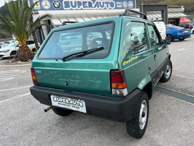 FIAT Panda 1ª serie 1100 i.e. cat 4x4 Trekking