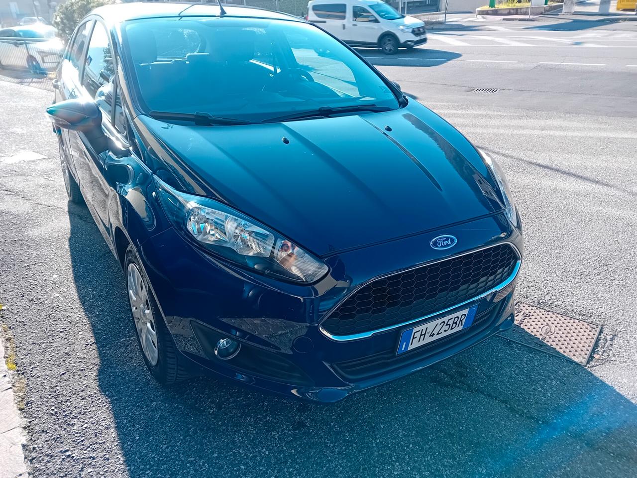 Ford Fiesta 1.4 5 porte Bz.- GPL Business