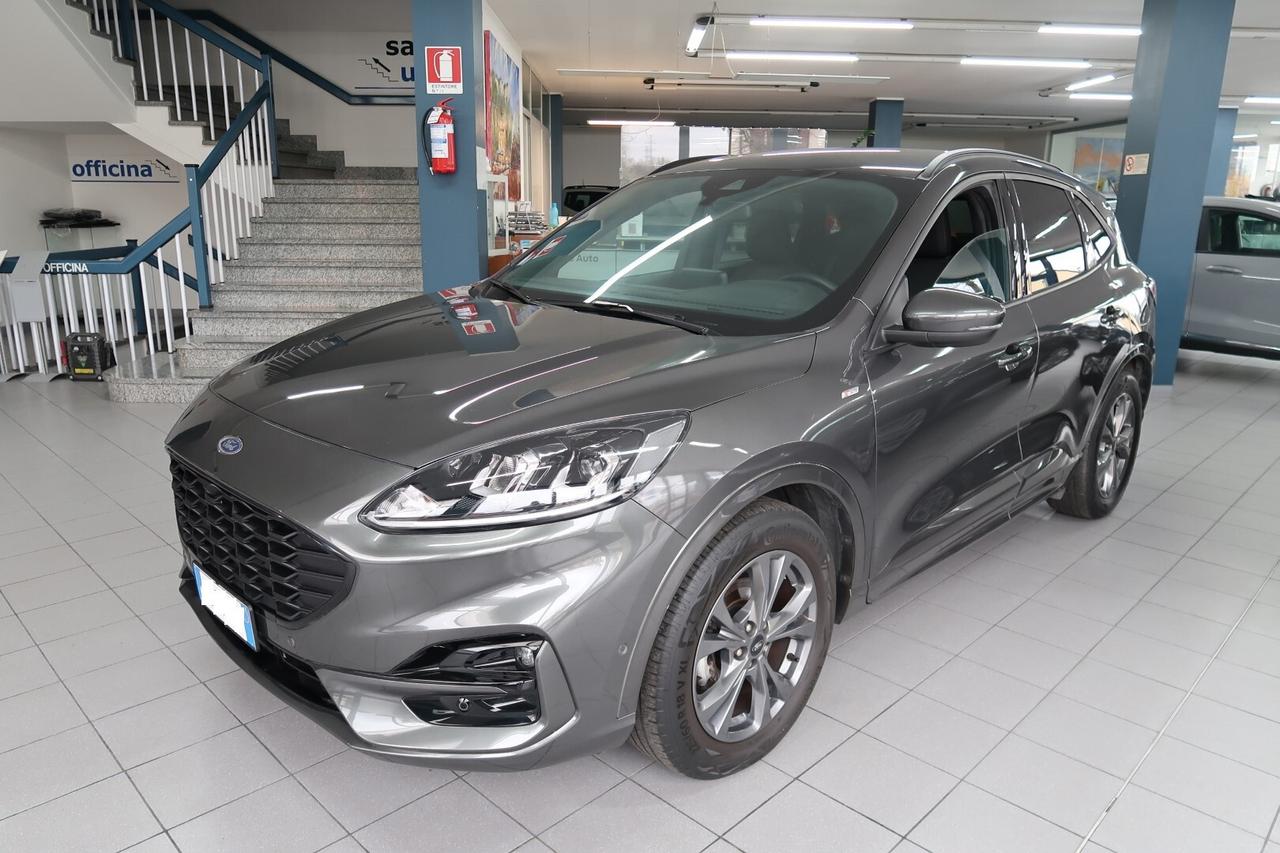 Ford Kuga 2.0 EcoBlue 120 CV aut. ST-Line