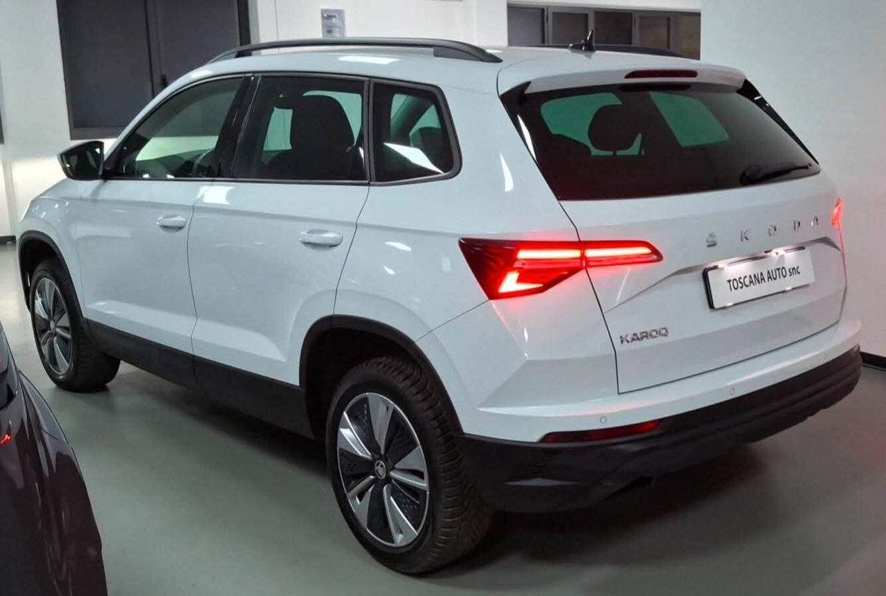 Skoda Karoq 2.0 TDI EVO SCR 115 CV DSG Style