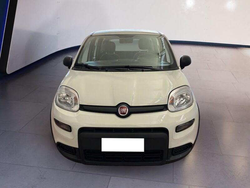 FIAT Panda My23 1.0 70cv Hybrid Panda