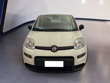 FIAT Panda My23 1.0 70cv Hybrid Panda
