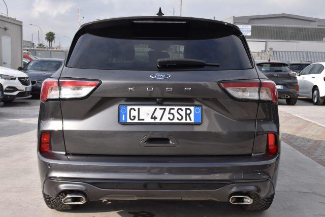 FORD Kuga 1.5 EcoBlue 120 CV 2WD ST-Line