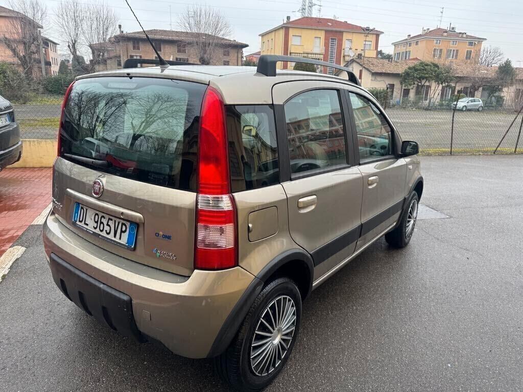 Fiat Panda 1.2 Climbing Natural Power