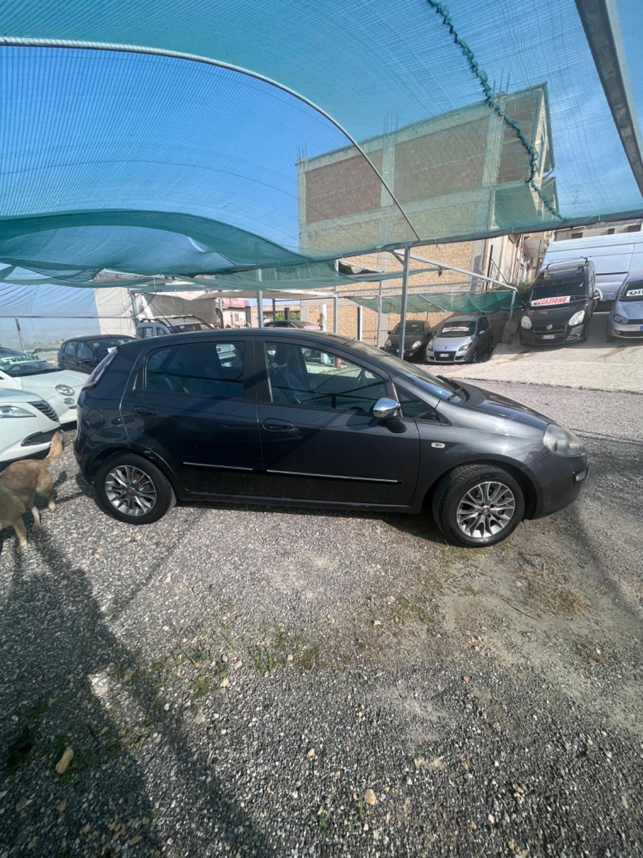 Fiat Punto Evo 1.3 Mjt 75 CV 5 porte Active