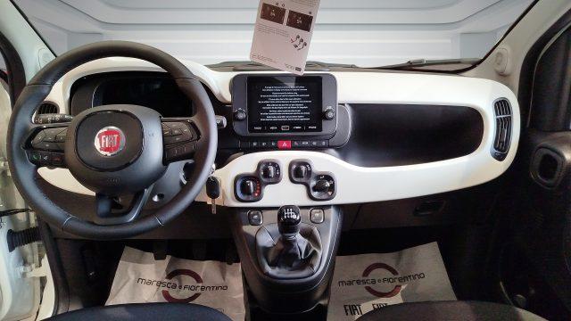 FIAT Panda 1.0 FireFly S&S Hybrid Pandina
