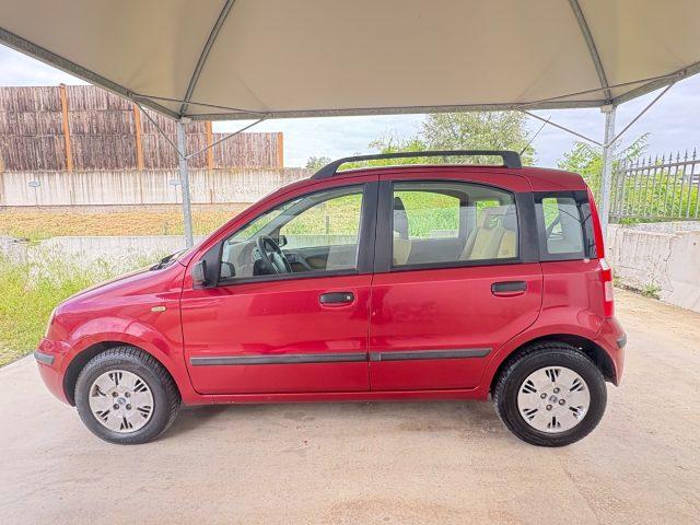 FIAT Panda 1.2 Emotion OK NEOPATENTATI PRONTA CONSEGNA