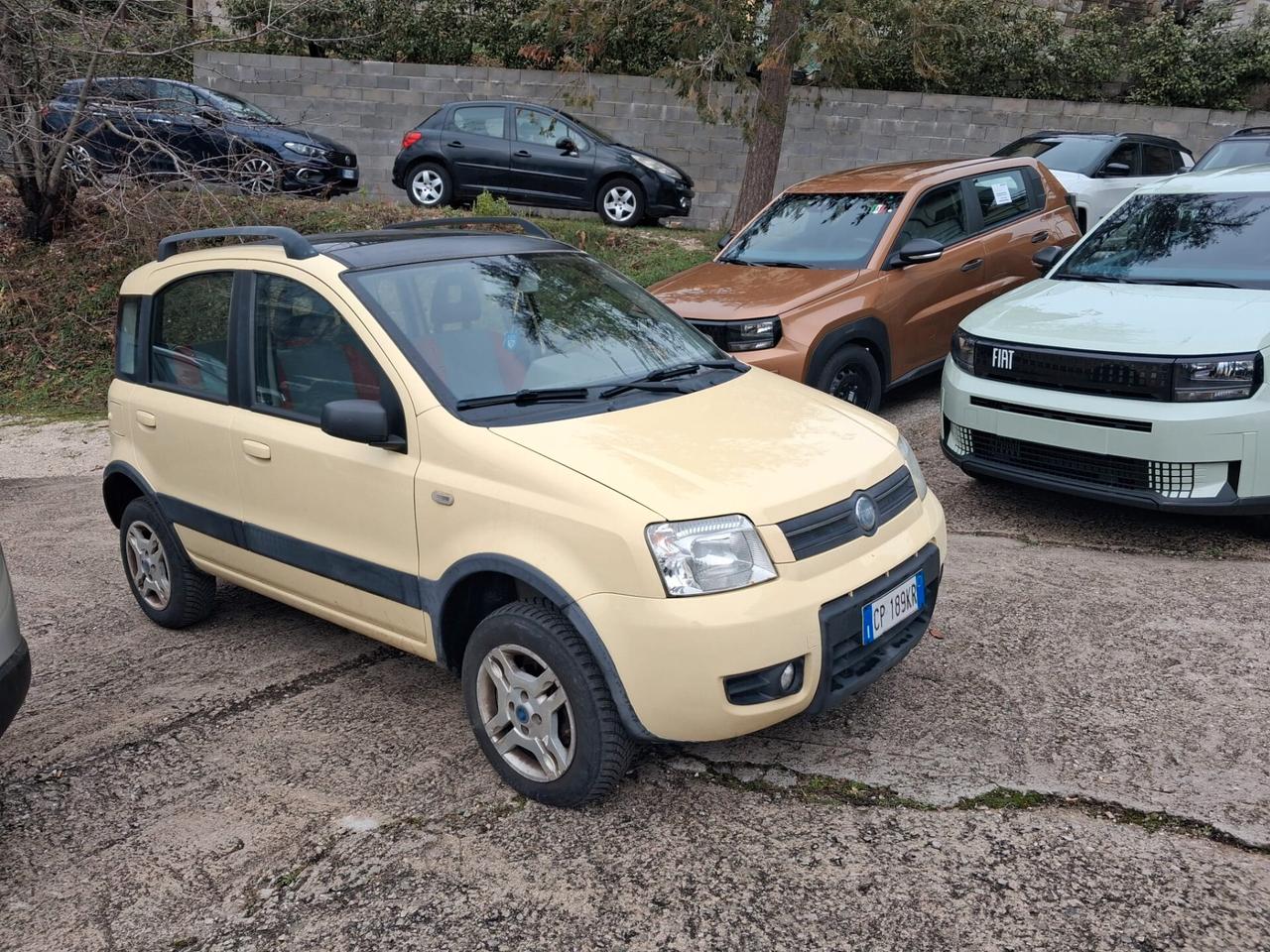 Fiat Panda 1.2 4x4 Climbing