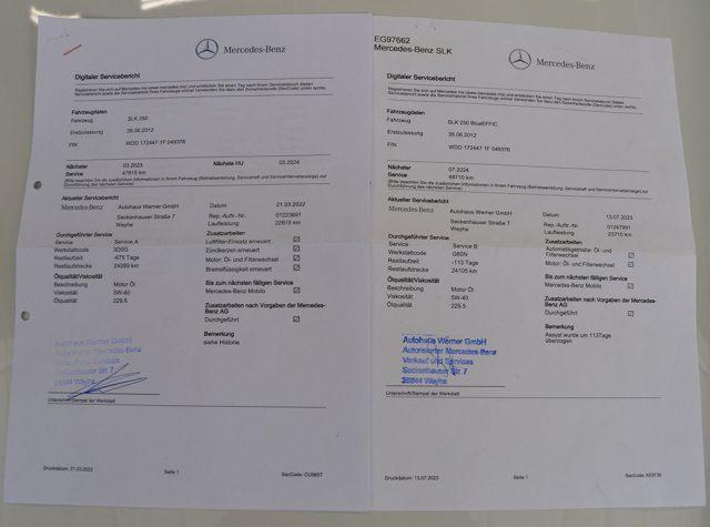 MERCEDES-BENZ SLK 250 BlueEFFICIENCY Aut. Premium Amg 1 Proprietario