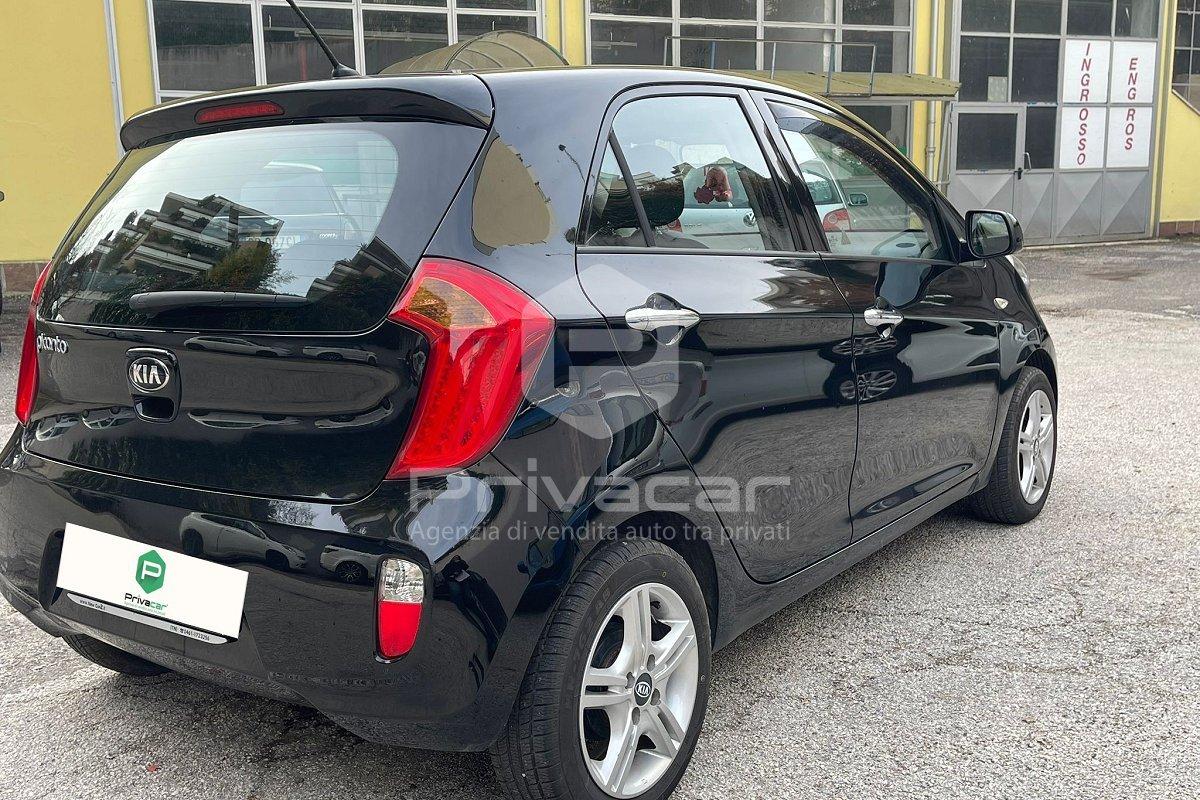 KIA Picanto 1.0 12V 5 porte Cool
