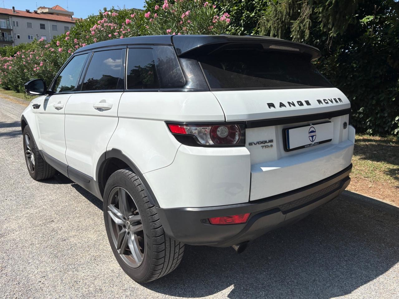 Range Rover Evoque 5p 2.2 td4 Pure Tech Pack 150cv