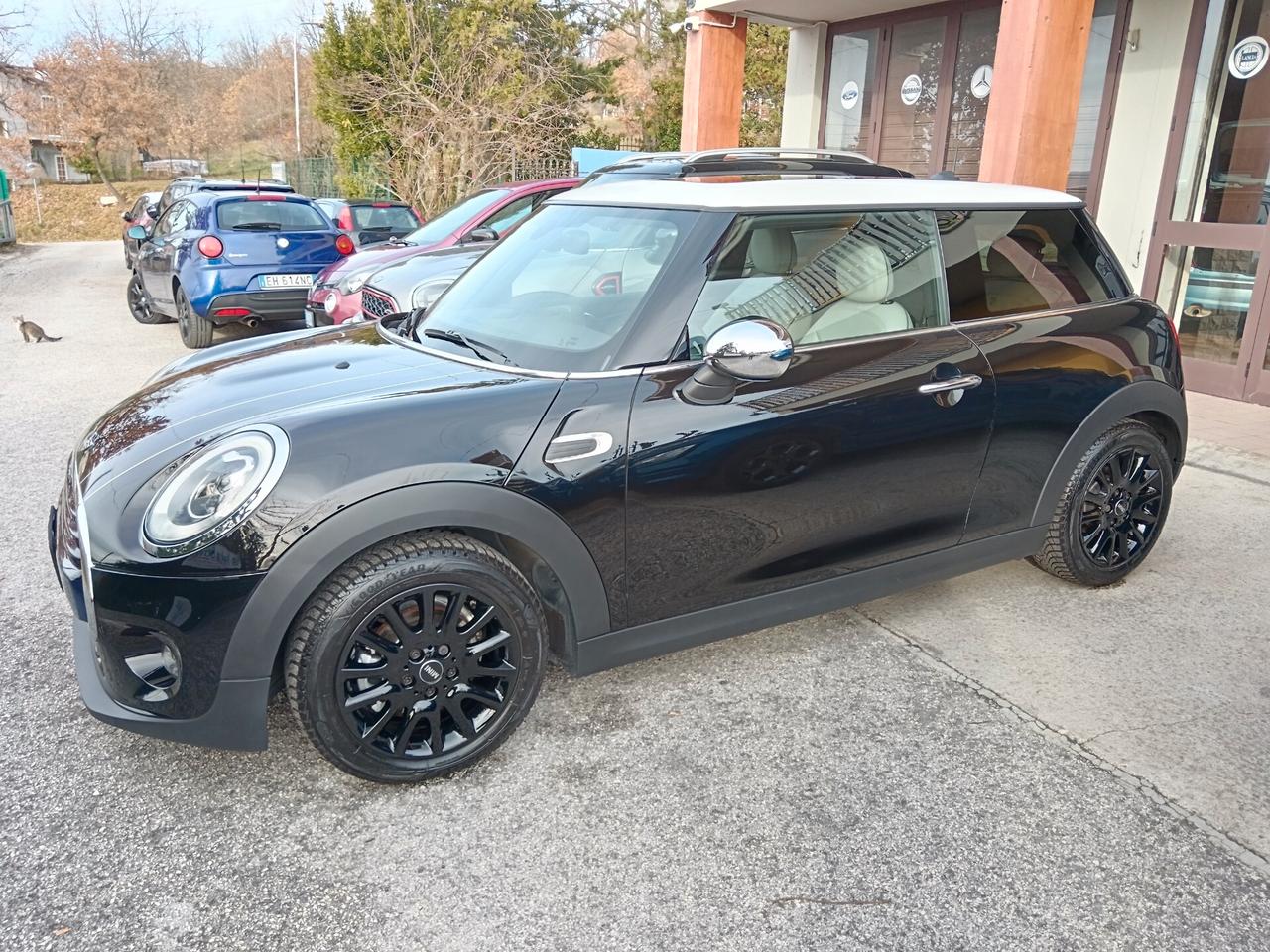 Mini Cooper 1.5 Turbo 136CV TETTO APRIBILE