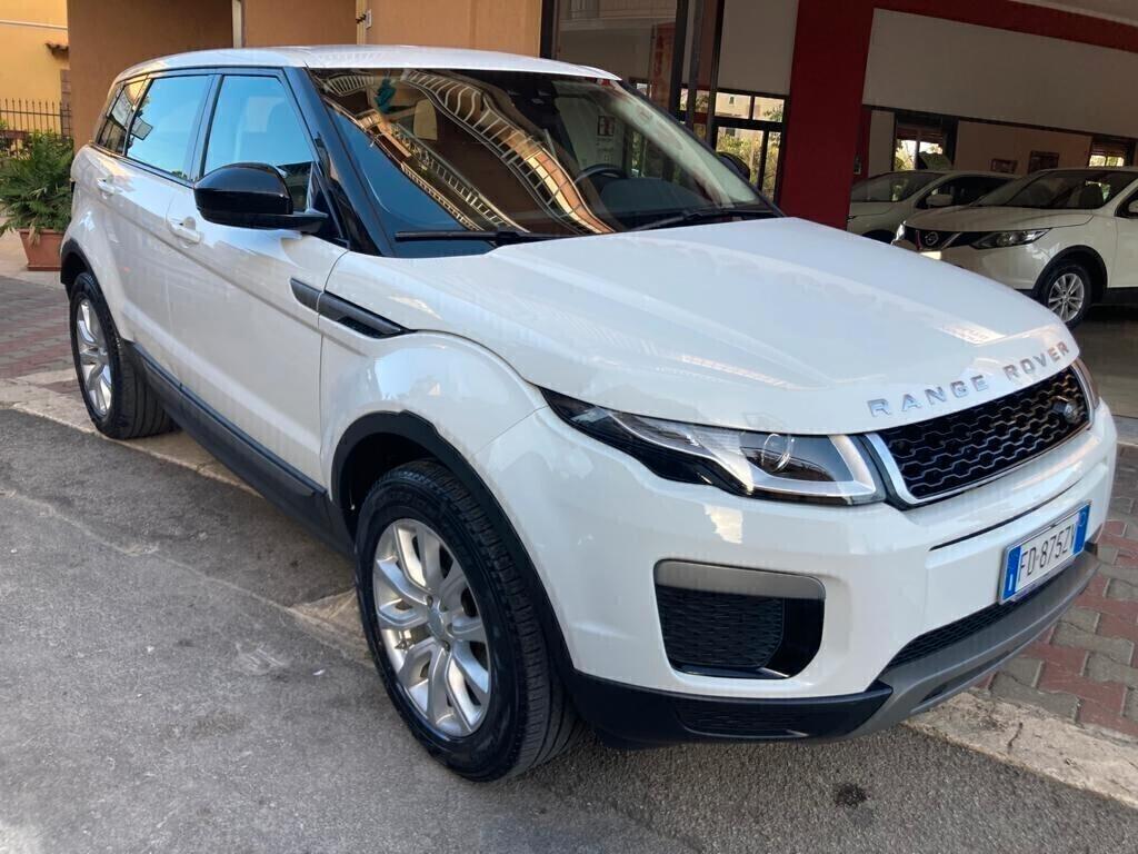 Range Rover Evoque 2.0 TD4 150 CV 5p. Business Edition Pure
