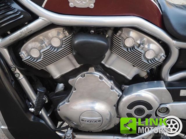 HARLEY-DAVIDSON 1130 V-ROD - VRSCR Street Rod