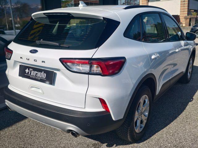 FORD Kuga 1.5 EcoBlue 120 CV 2WD Titanium Business