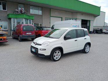 Fiat Panda 1.0 70CV Hybrid UNIPROPRIETARIO