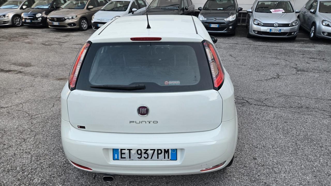 Fiat Punto 1.2 8V 5 porte Street Ok Neopatentati