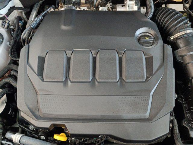 SKODA Karoq 2.0 TDI EVO SCR 115 CV DSG Executive