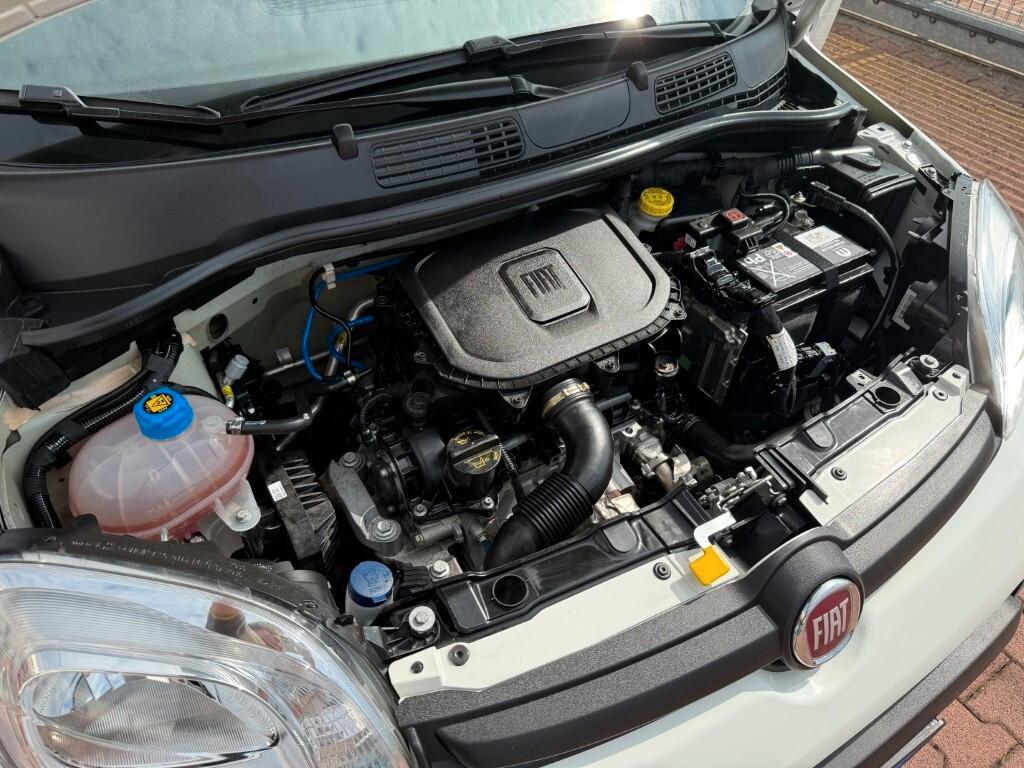 Fiat Panda 1.0 FireFly S&S Hybrid