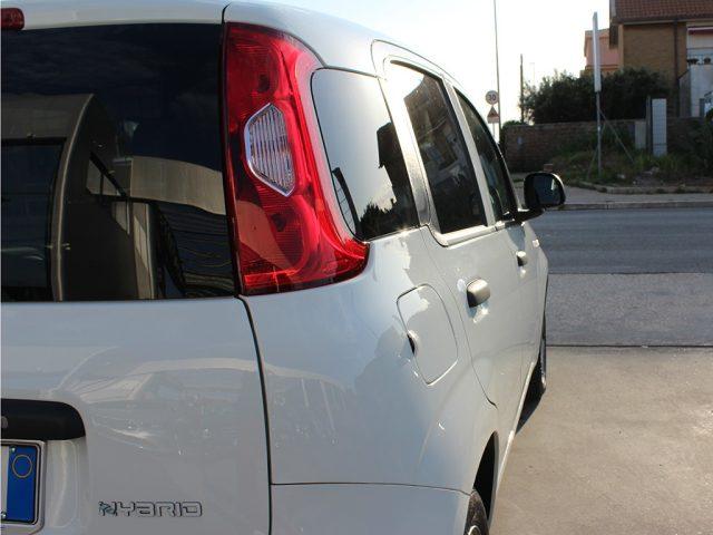 FIAT Panda 1.0 S&S Hybrid Pop Van 2 posti AUTOCARRO +IVA