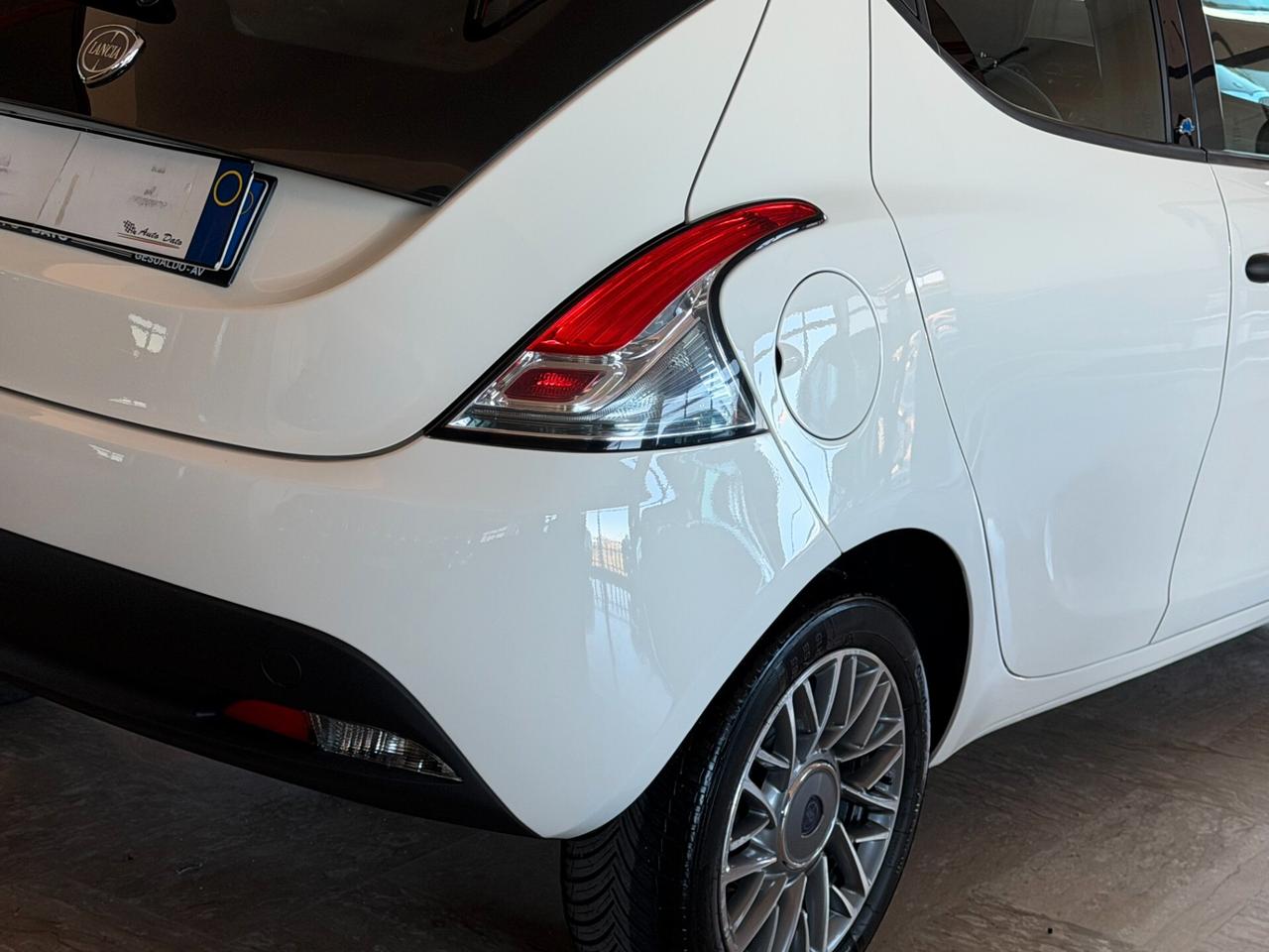 Lancia Ypsilon 1.2 69 cv. ELEFANTINO BLU