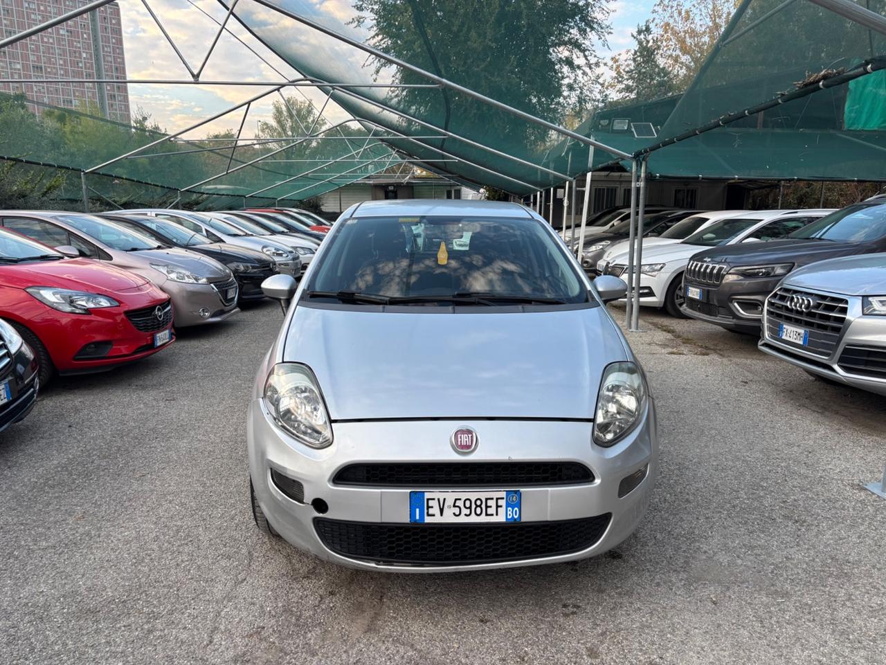Fiat Punto 1.2 8V 5 porte Street OK NEOPATENTATI