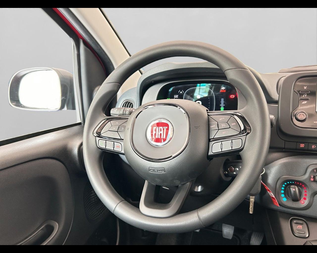 FIAT Panda My25 1.0 70cv Hybrid Panda