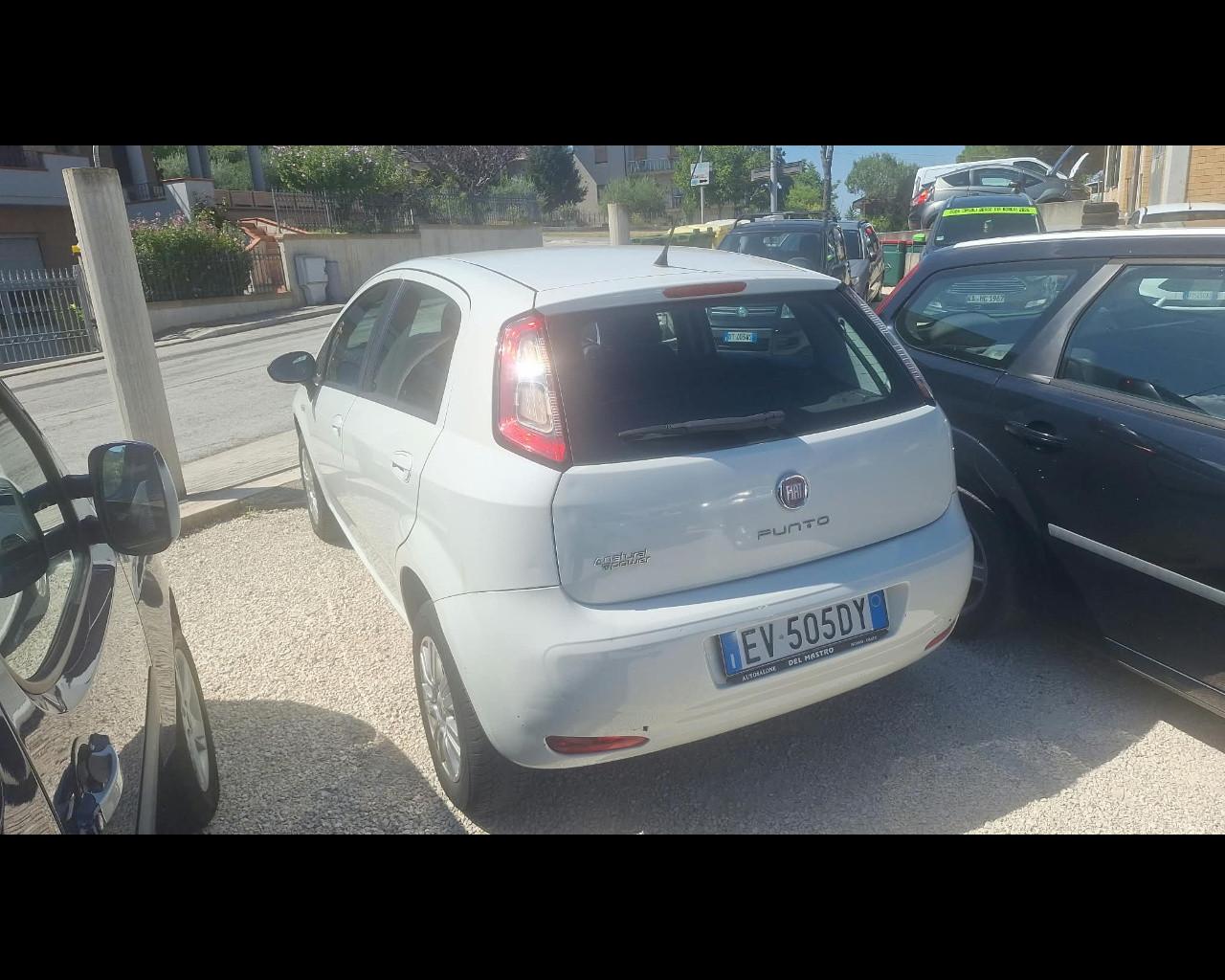 FIAT Punto 1.4 8V 5 porte Natural Power Lounge