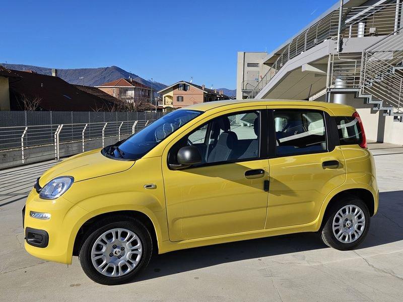 FIAT Pandina Pandina 1.0 firefly hybrid Icon s&s 65cv con BONUS EASY GO'