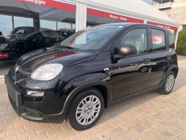 Fiat Panda 1.0 FireFly S&S Hybrid Pandina OK NEOPATENTATI