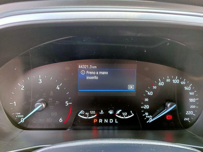 Ford Focus 5 Porte 1.5 EcoBlue 120cv ST-Line Auto