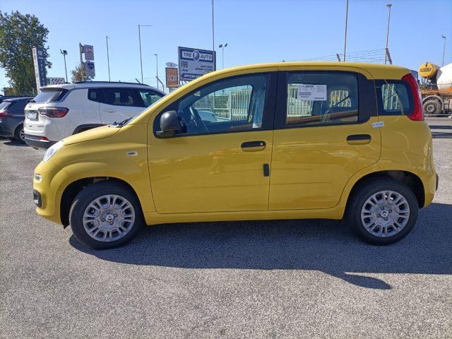 FIAT Panda 1.0 FireFly S&S Hybrid PREZZO REALE