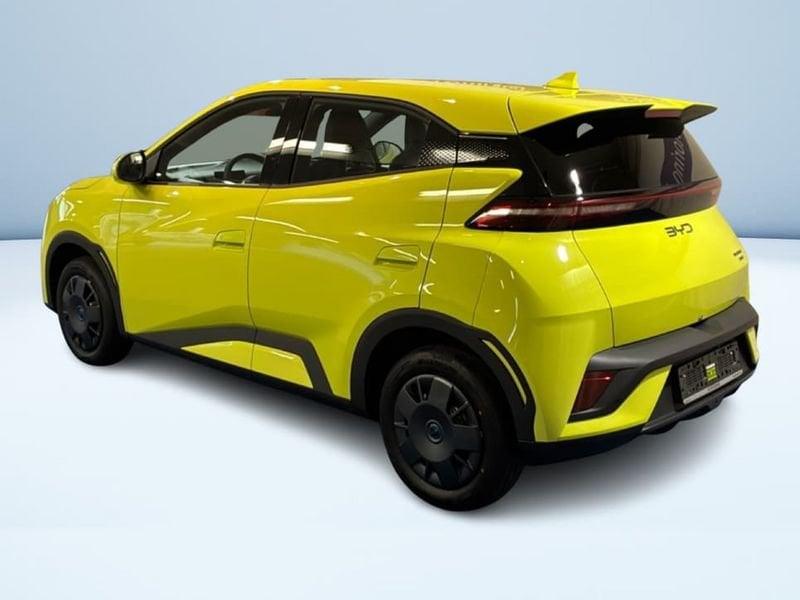 BYD Dolphin Surf Active