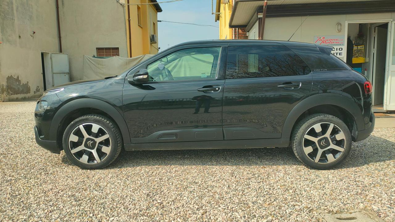 Citroen C4 Cactus 1.6 bluehdi Shine s&s 100cv