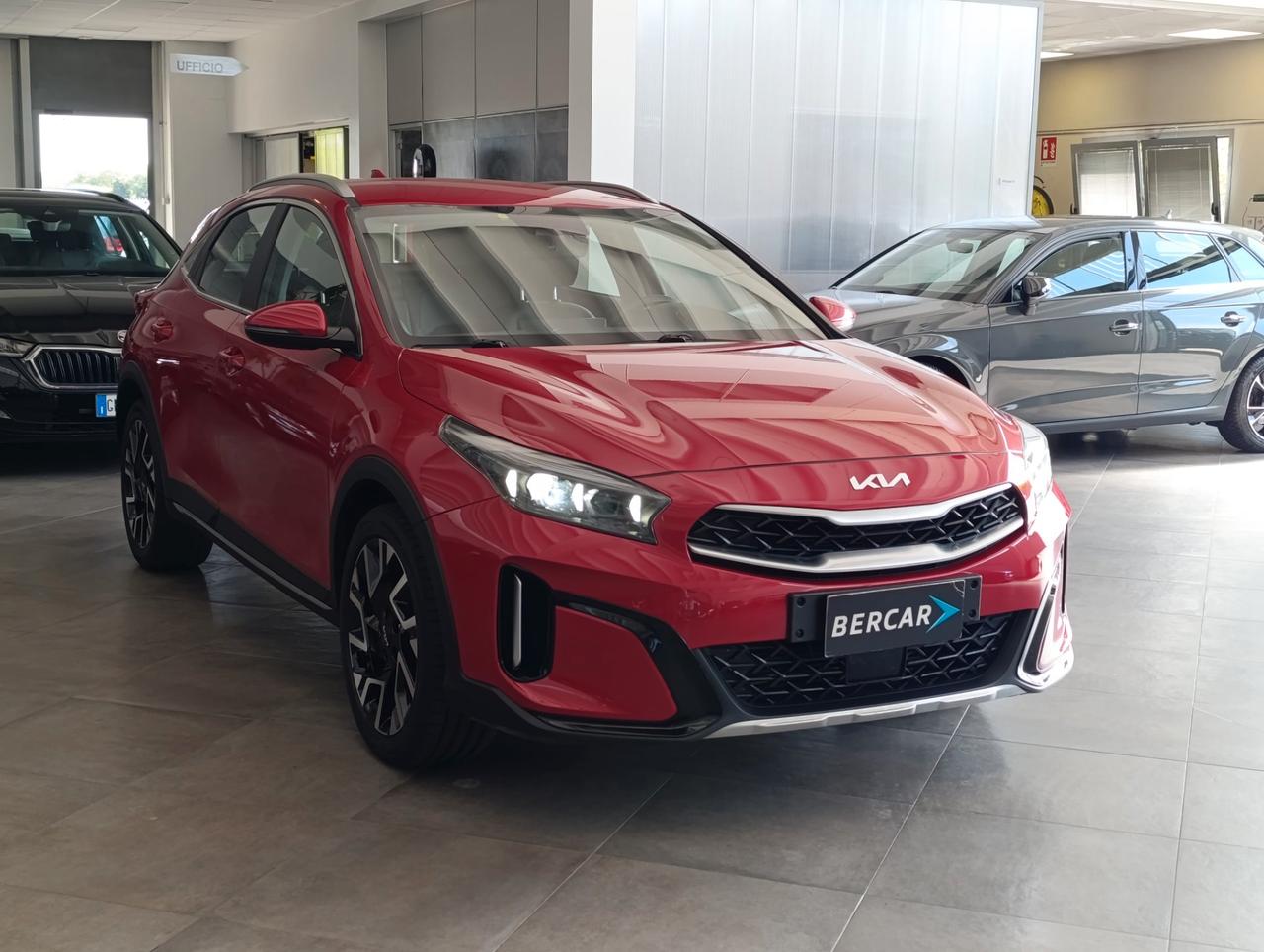 Kia Xceed 1.6 crdi mhev Business 136cv dct