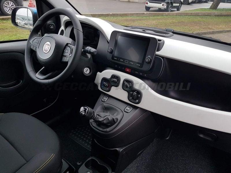 FIAT Panda Panda My25 1.0 70cv Hybrid Pandina