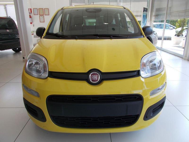 FIAT Pandina Pandina 1.0 FireFly 65 CV Hybrid Pop 338.7575187 MASSARI MARCO